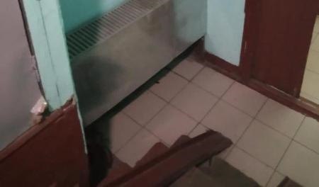 Фото предоставили в ГБУ "Жилищник района Бибирево"