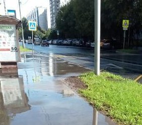 Газон на Плещеева привели в порядок – «Жилищник»