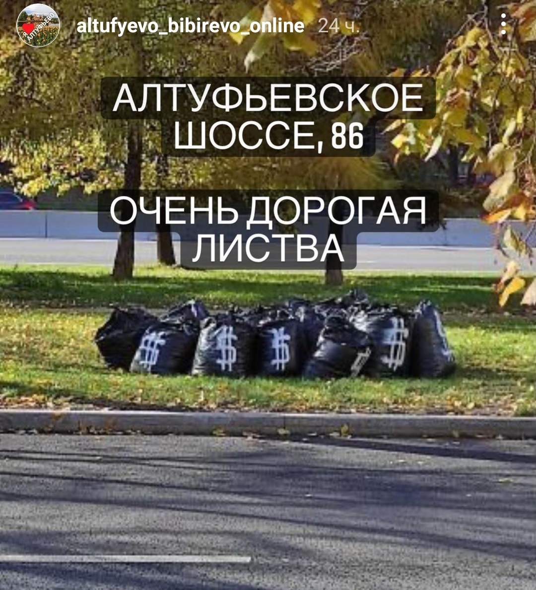 «Денежные мешки» обнаружили на Алтуфьевском шоссе