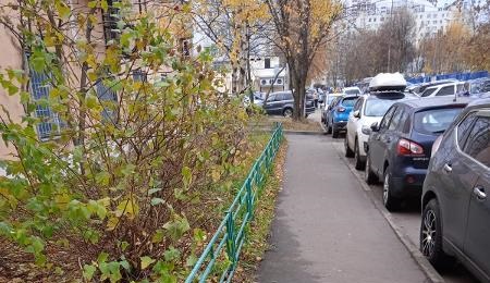 Мешавшие проходу ветки во дворе дома на Лескова обрезали по просьбам жителей