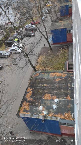 Жильцы дома на Мурановской сбрасывают мусор на карниз подъезда