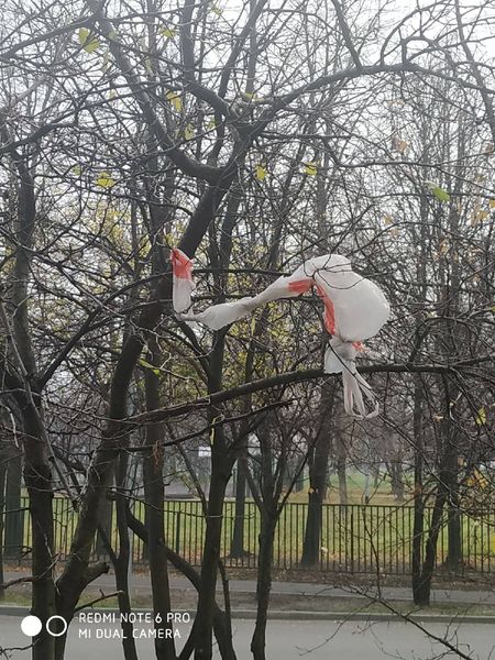 Жители дома на Белозерской пожаловались на выбрасывающего мусор с балкона соседа